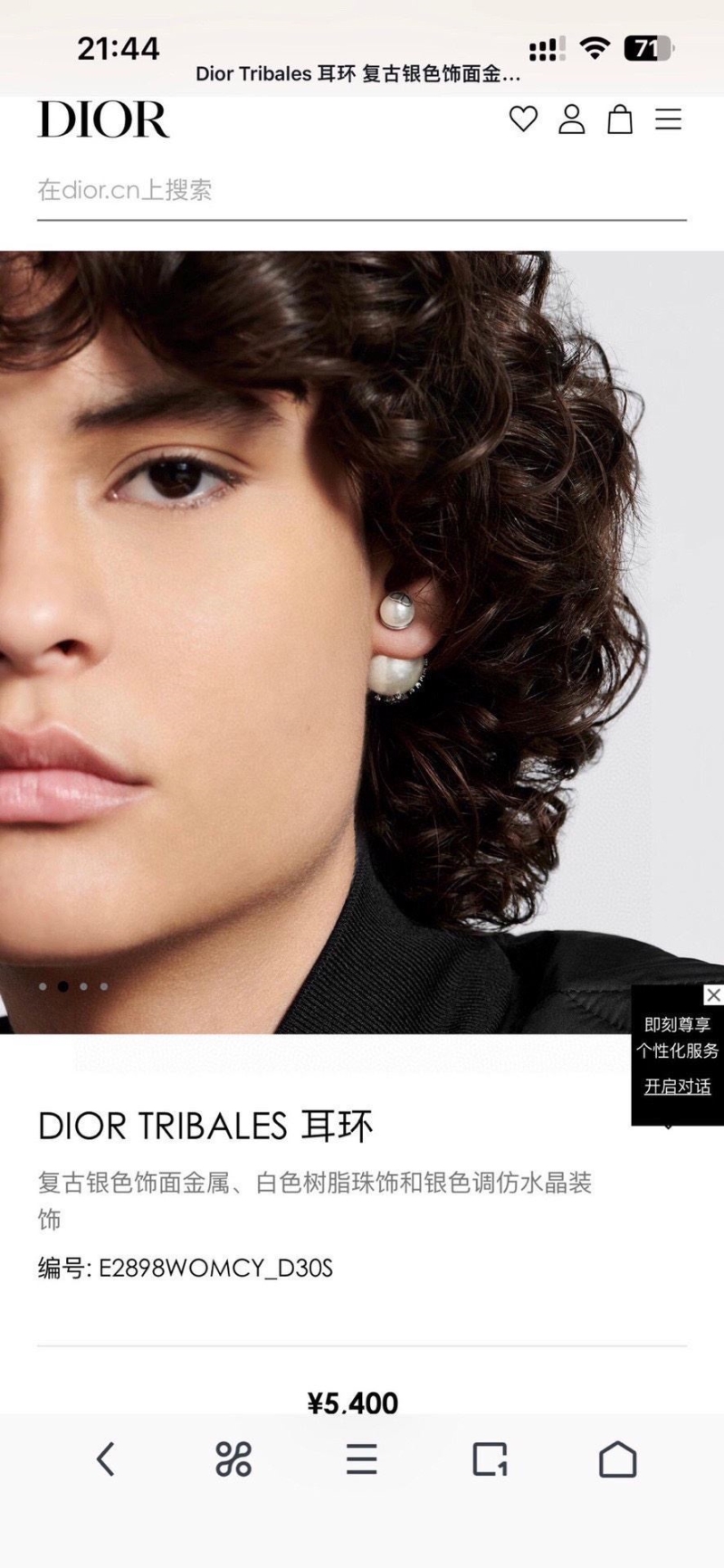 Christian Dior Earrings